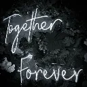 WhatsApp Image 2025-12-30 at 10.55.08 AM.webp