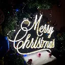 IMG_2081_jpg.webp