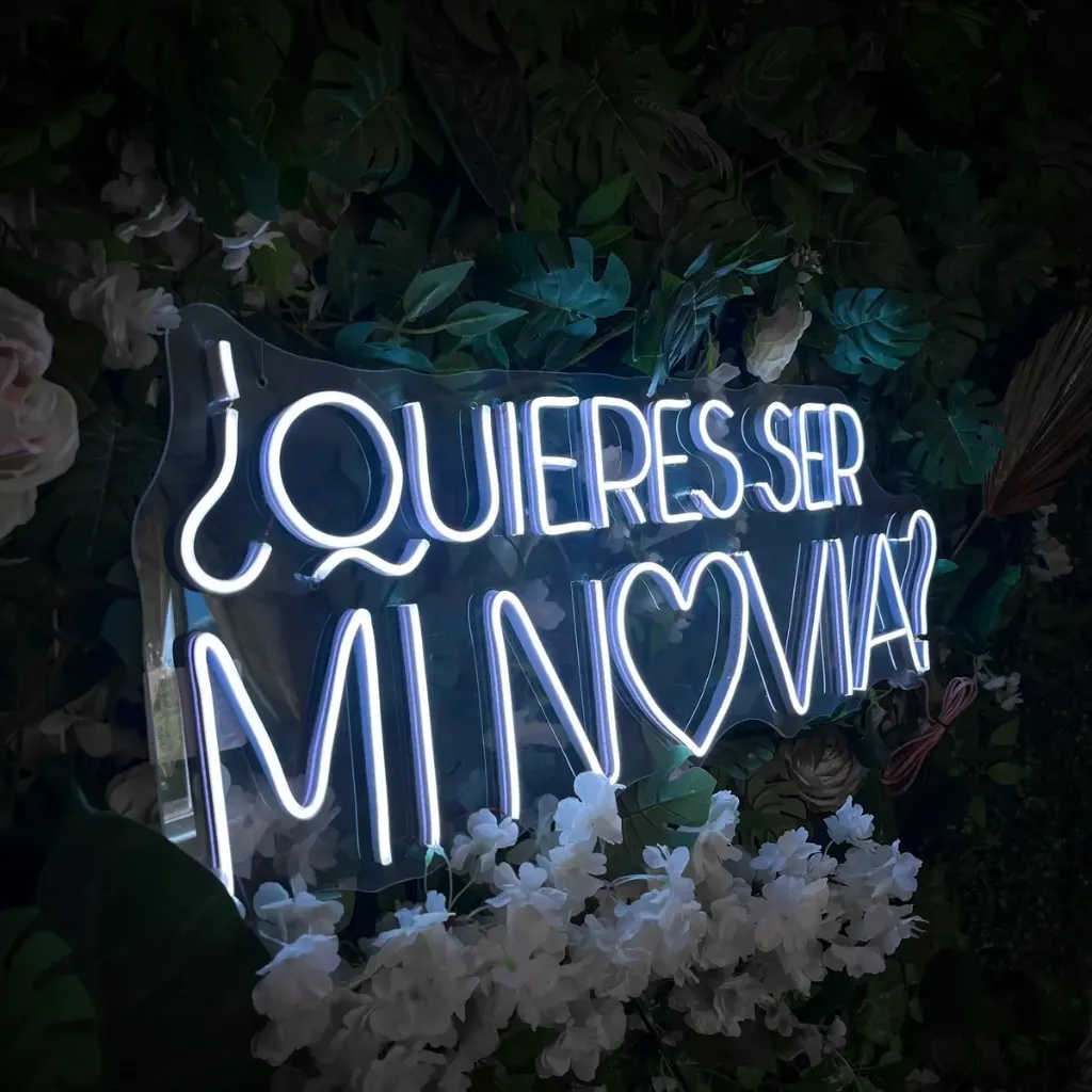 D_NQ_NP_2X_833137-MLM97849005065_112025-F-letrero-led-neon-novios-quieres-ser-mi-novia-81cm-x-30cm.webp