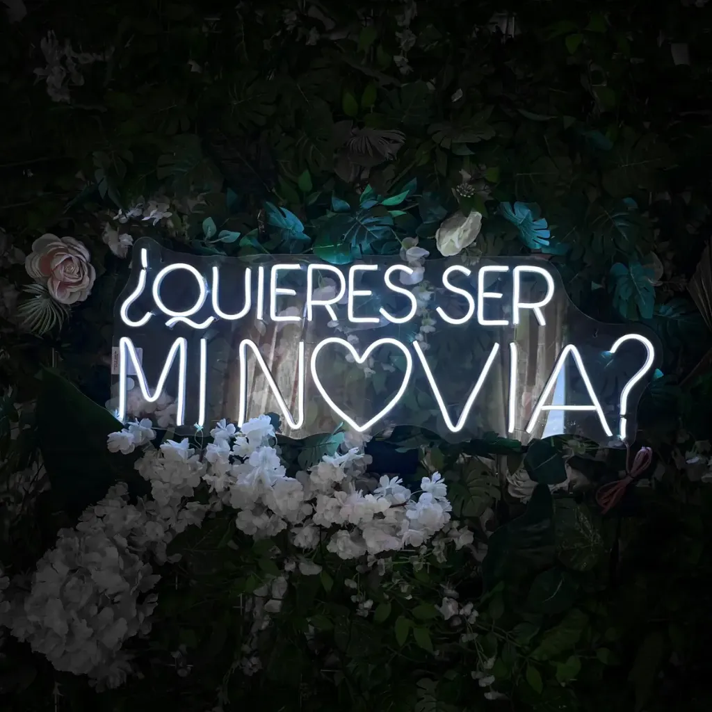 D_NQ_NP_2X_660360-MLM97847959769_112025-F-letrero-led-neon-novios-quieres-ser-mi-novia-81cm-x-30cm.webp
