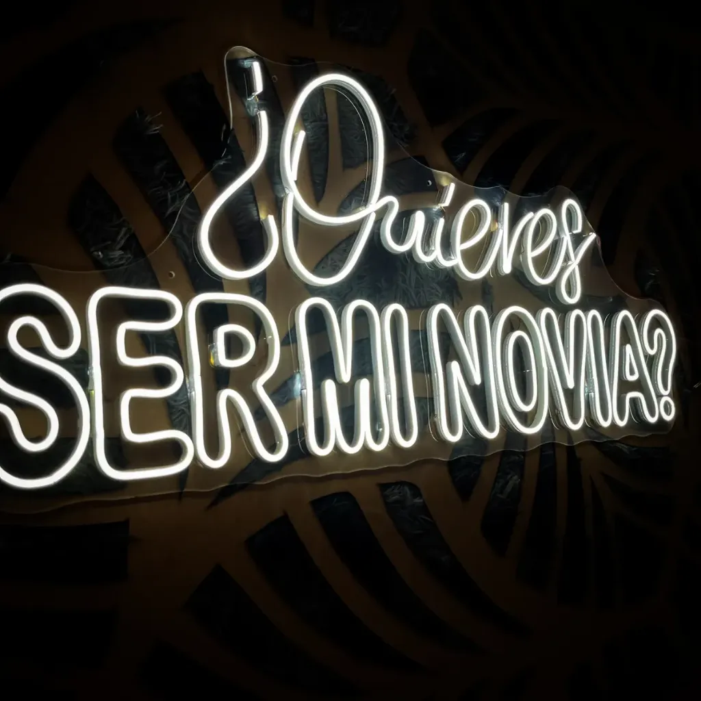 D_NQ_NP_2X_636275-MLM108104384142_032026-F-letrero-led-neon-quieres-ser-mi-novia-amor-novios-luminoso.webp