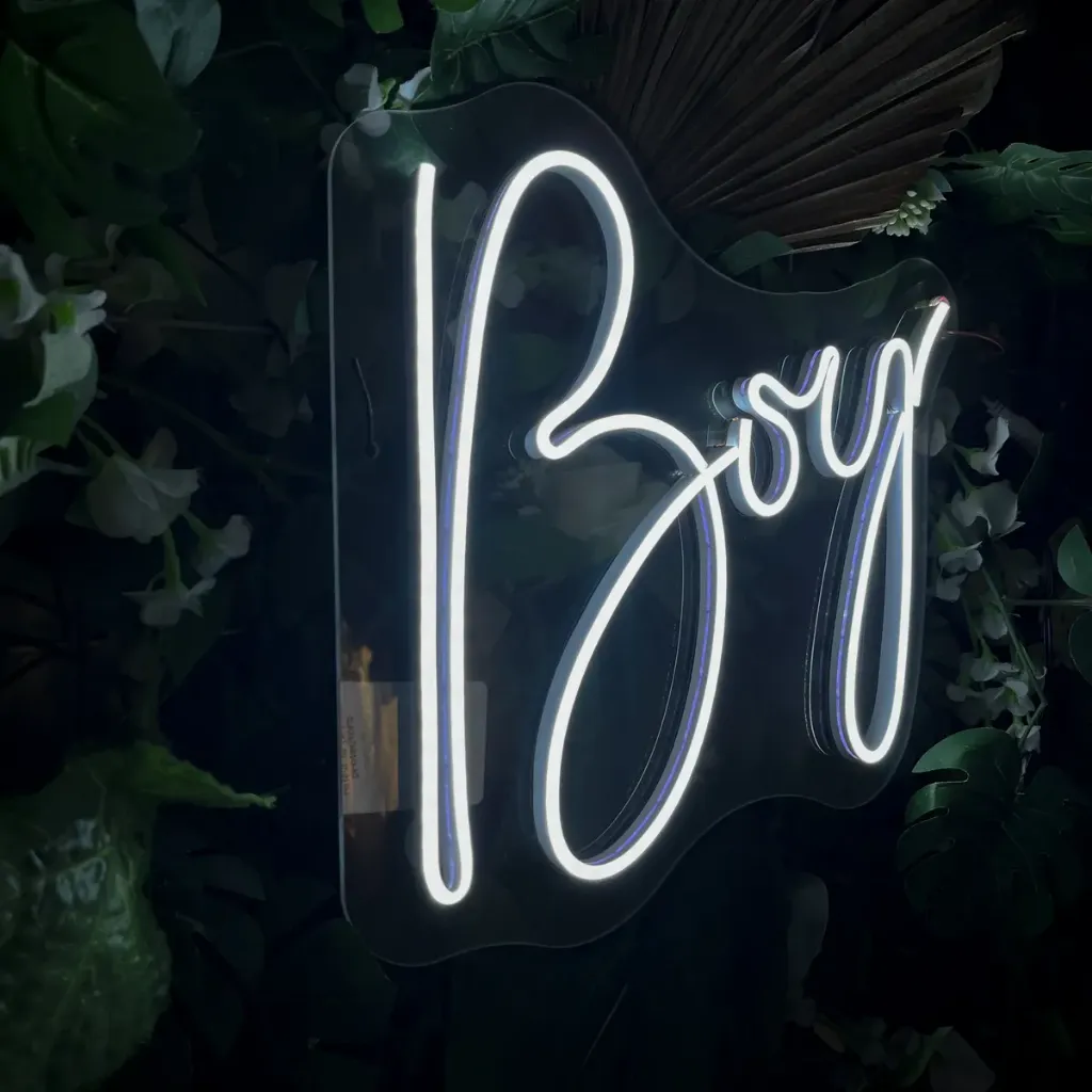 D_NQ_NP_2X_891302-MLM108099960628_032026-F.webp