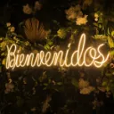 D_NQ_NP_2X_862150-MLM96400726894_102025-F-letrero-led-neon-bienvenidos-100cm-x-30cm.webp
