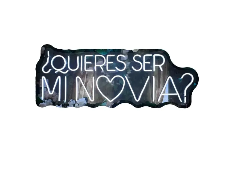 Quieres ser mi novia _81cm x 30cm