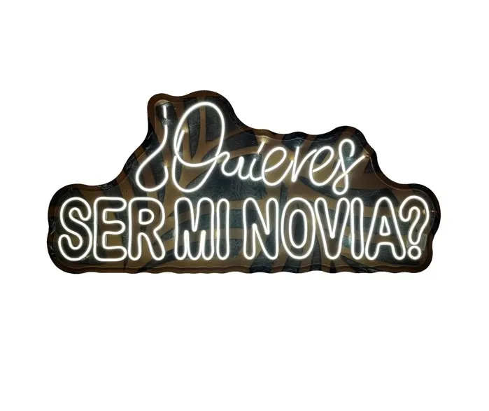 Quieres ser mi novia_90cm x 41cm