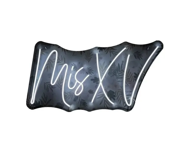Mis XV_ 80cm X 40cm