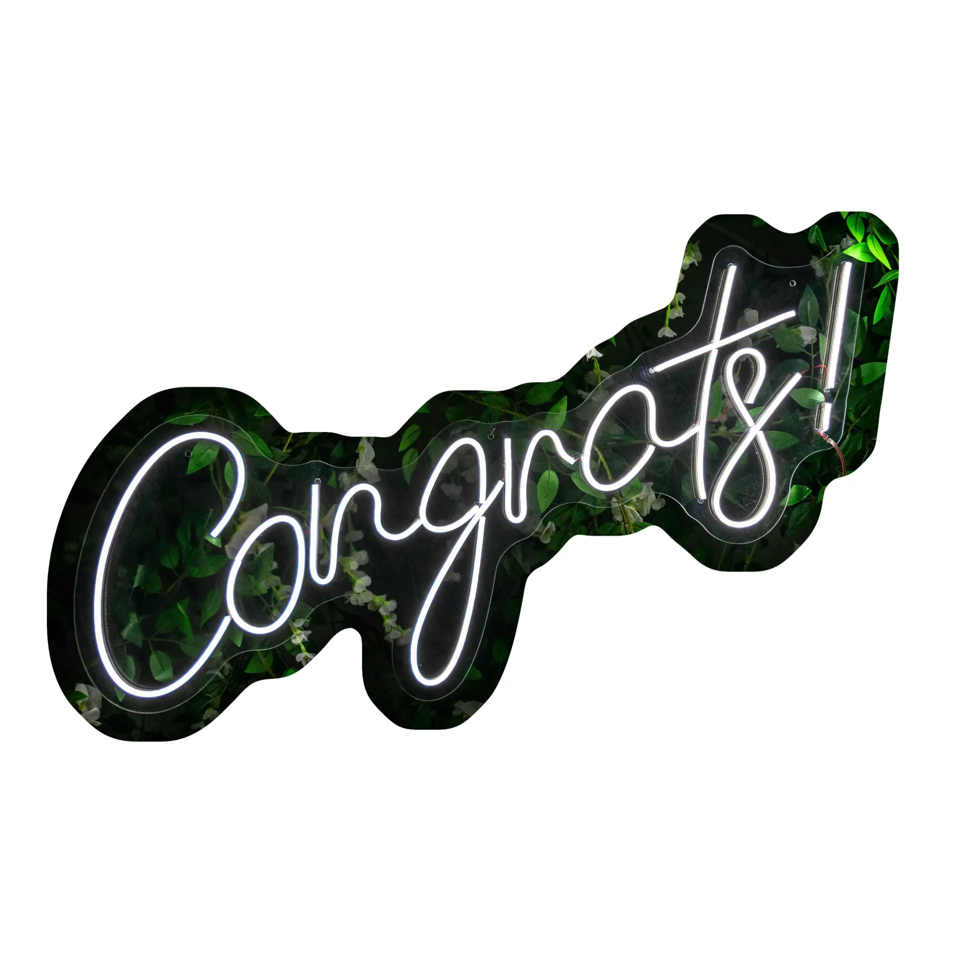 Congrats_80cm x 43cm