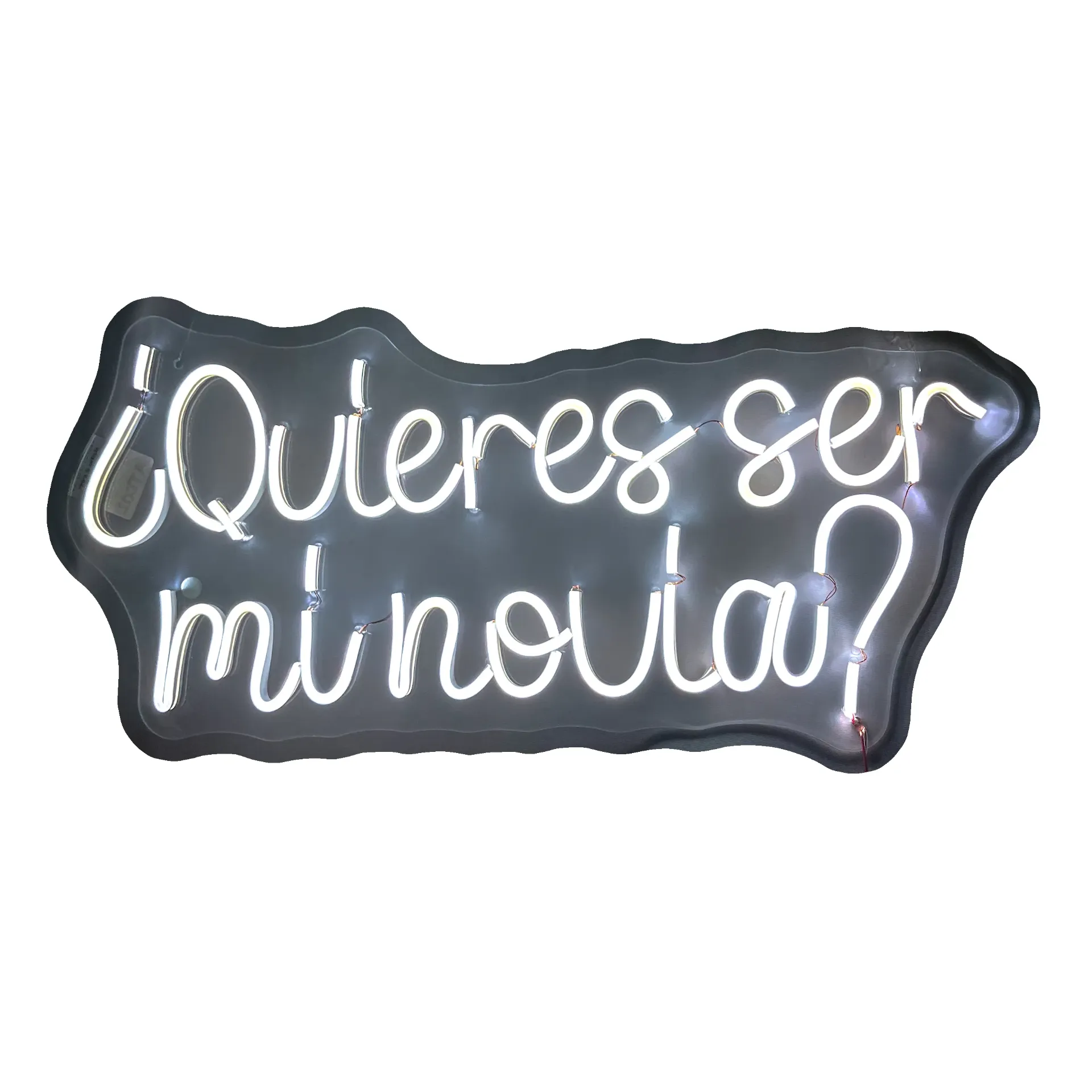 ¿Quieres ser mi novia? mini 55cm x 27cm