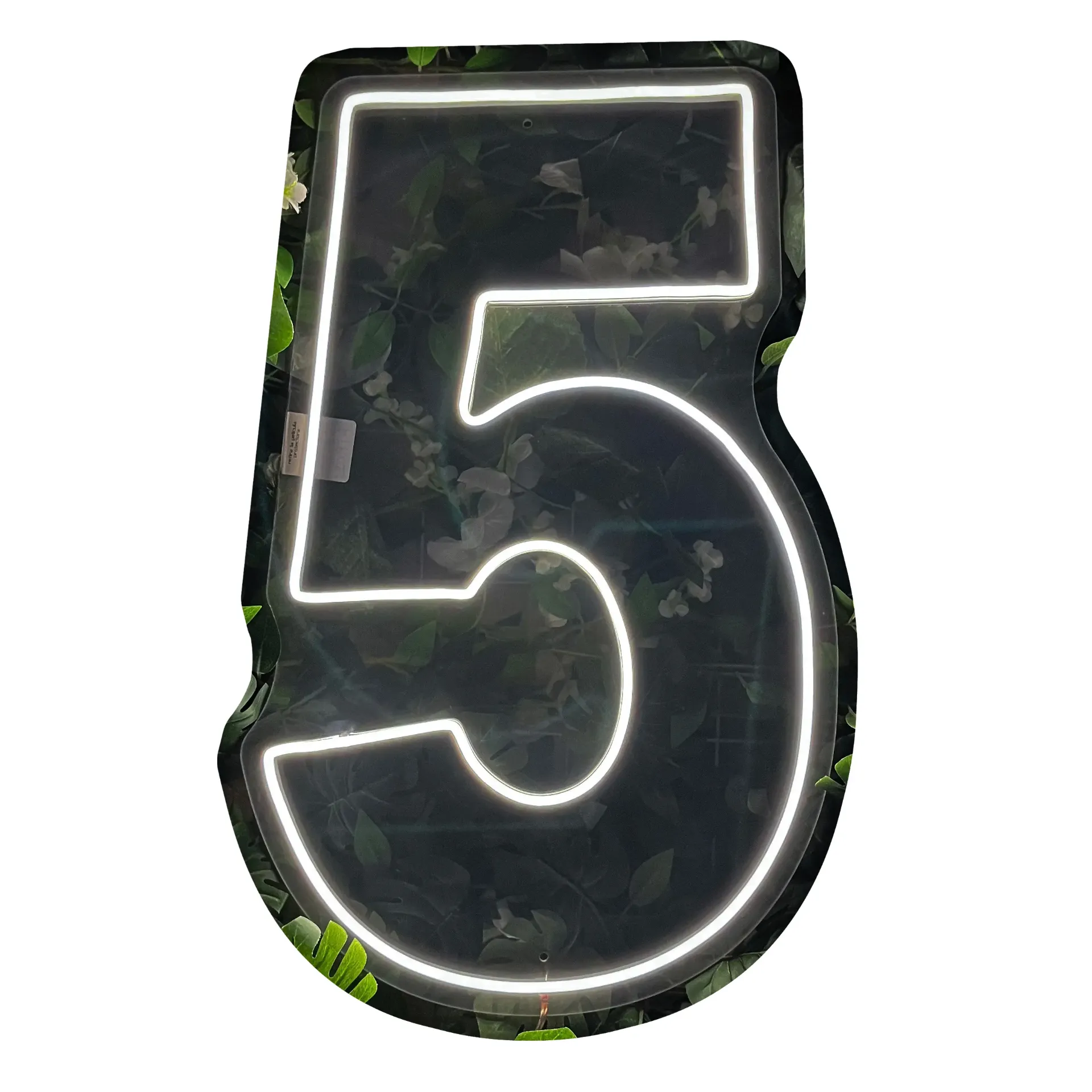 Número 5_60cm x 38cm