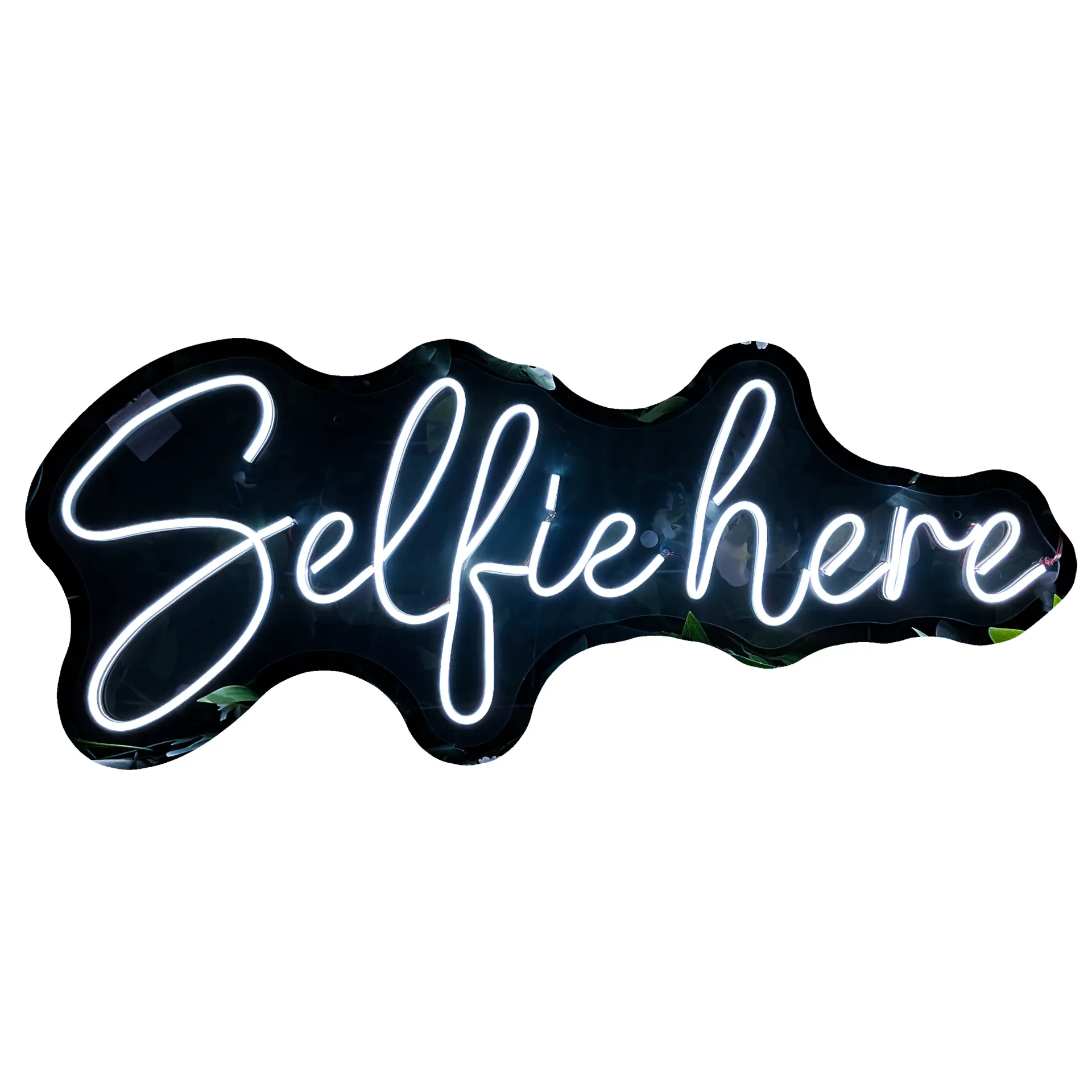 Selfie here_74cm x 29cm