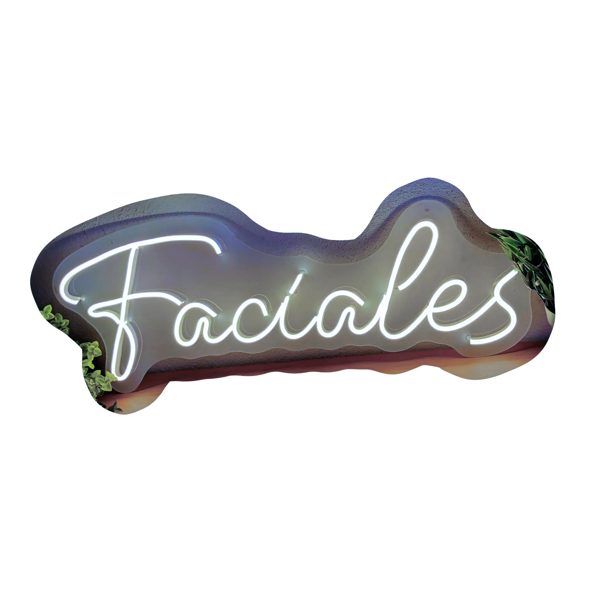 Faciales_61cm x 23cm