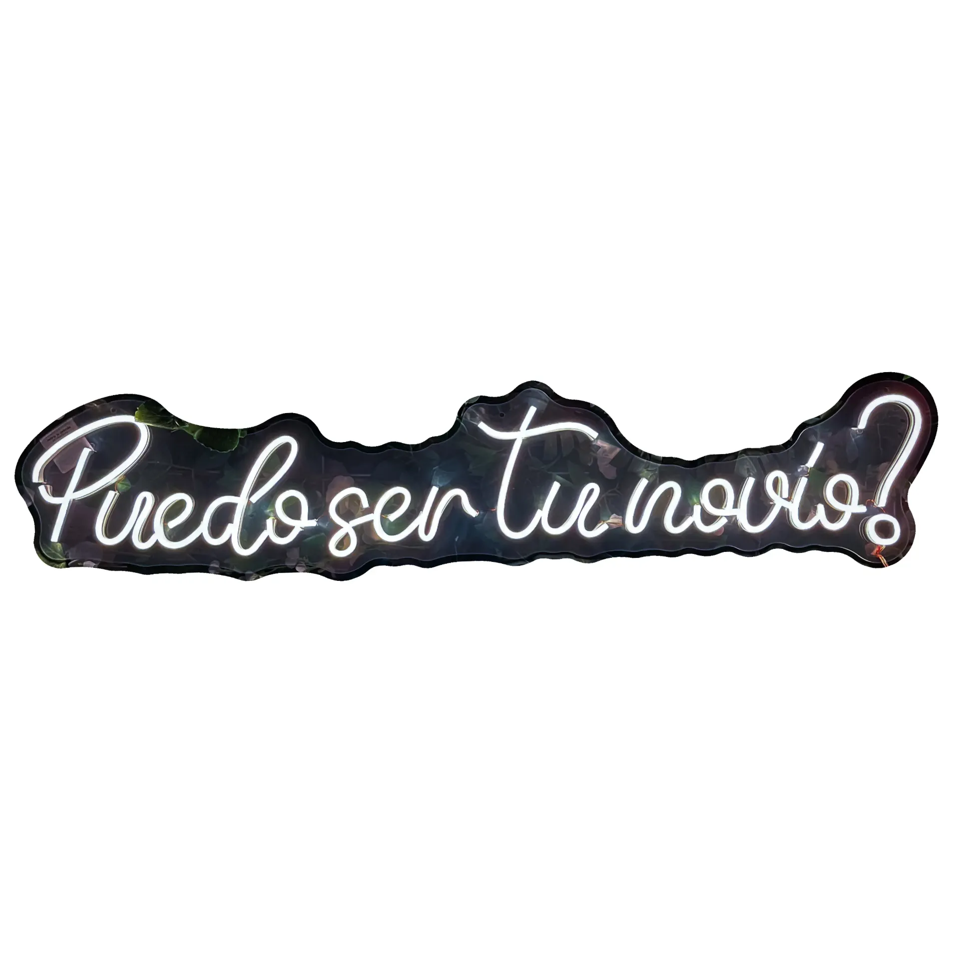 Puedo ser tu novio?_93cm x 19cm