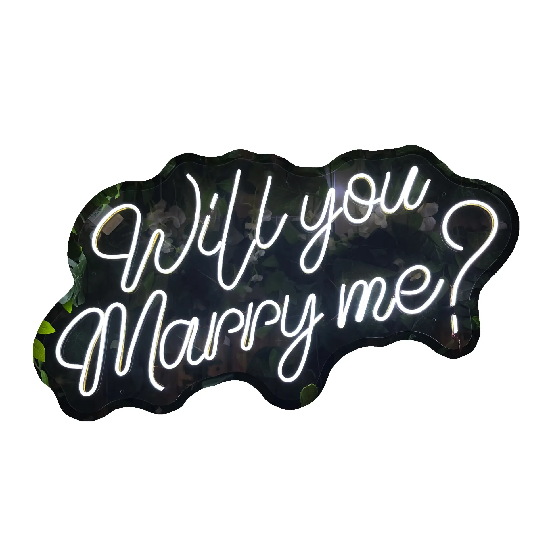 Will you marry me? 2 renglones_80cm x 43cm