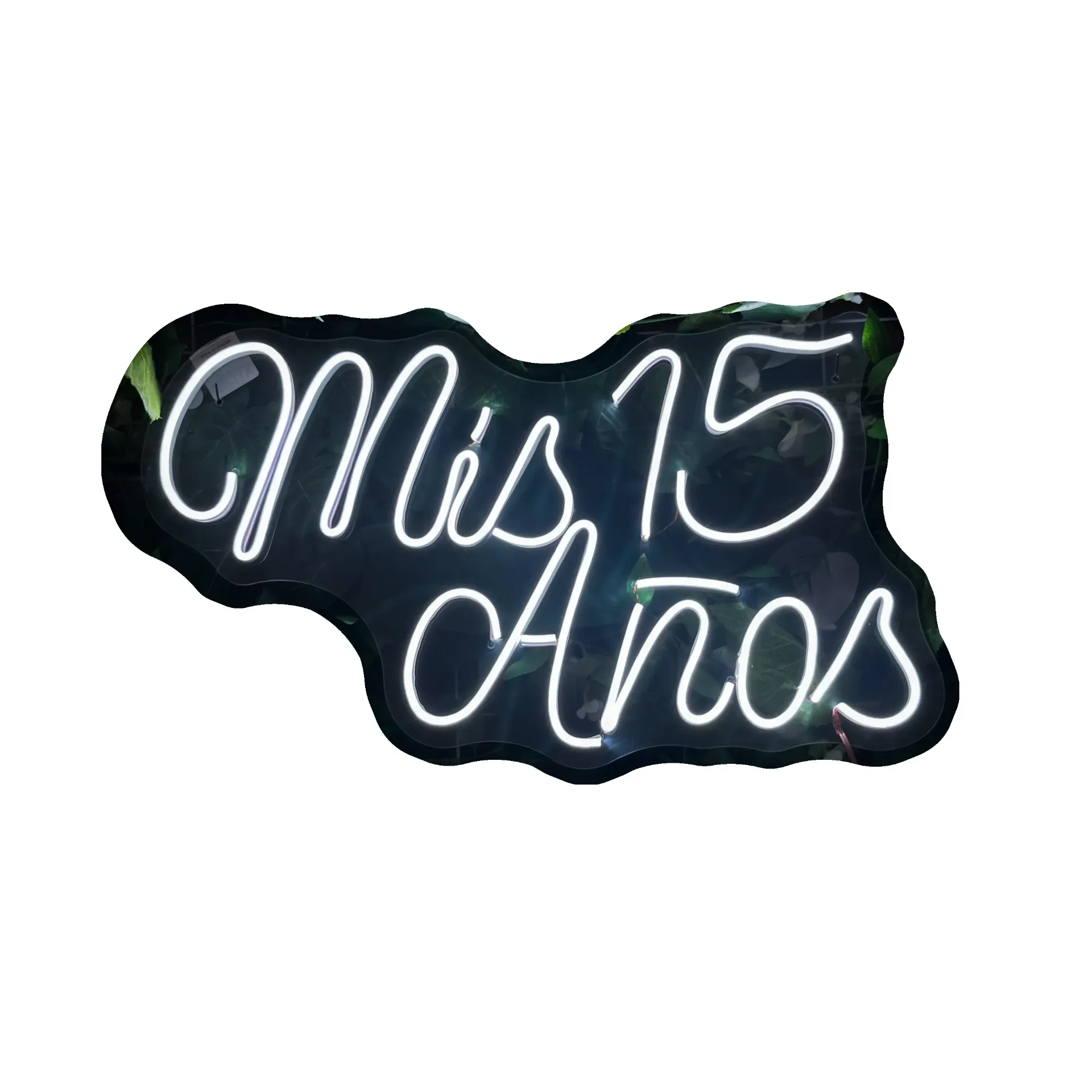 Mis 15 años_60cm x 35cm