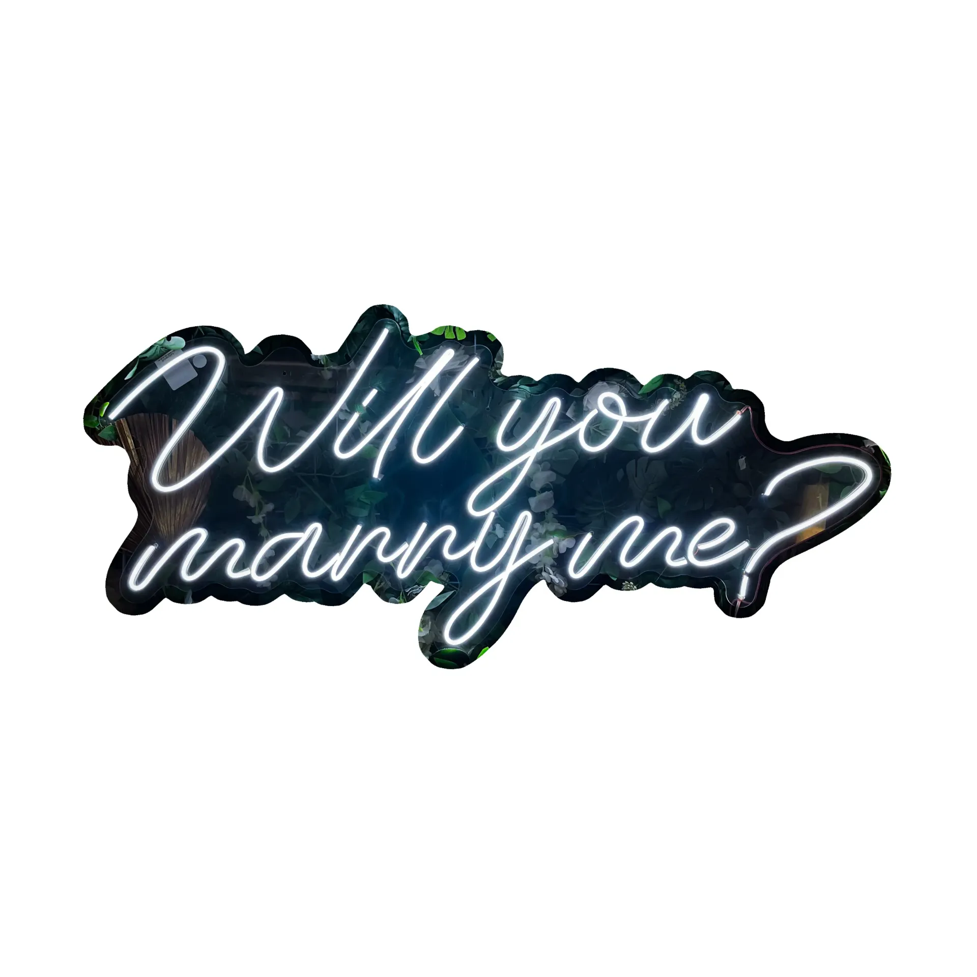 Will you marry me? 2 renglones_108cm x 48cm